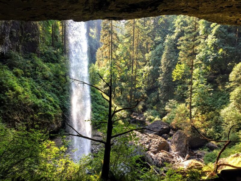 Portland: Silver Falls Hike - Who Should Consider This Tour?
