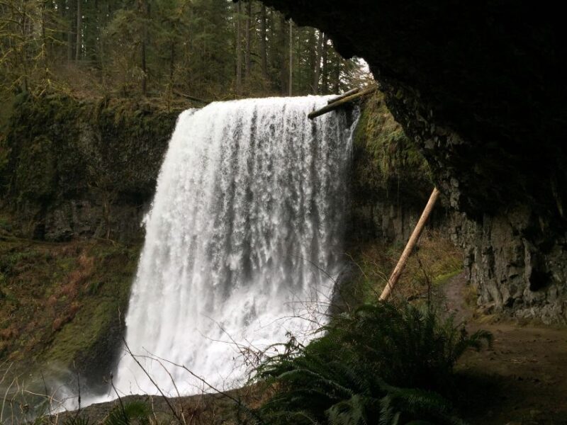 Portland: Silver Falls Hike - Final Thoughts