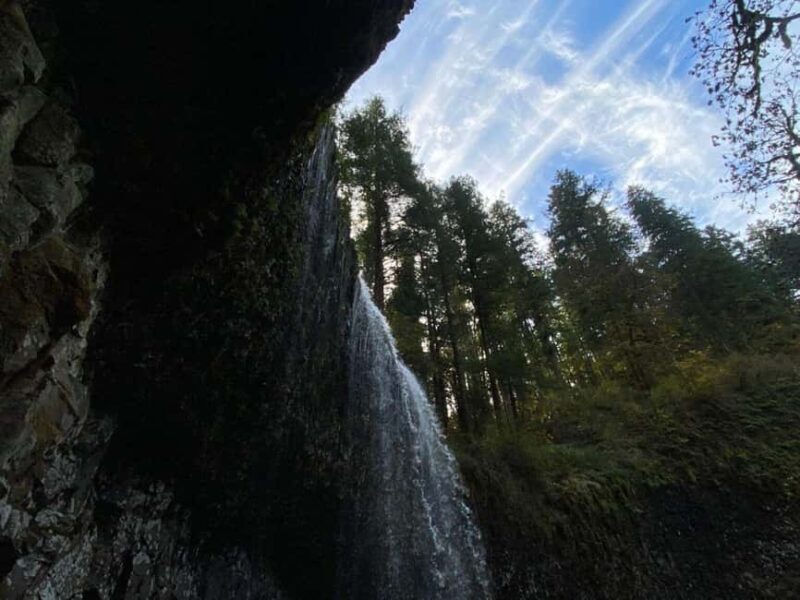 Portland: Silver Falls State Park Waterfall Hike - Key Points