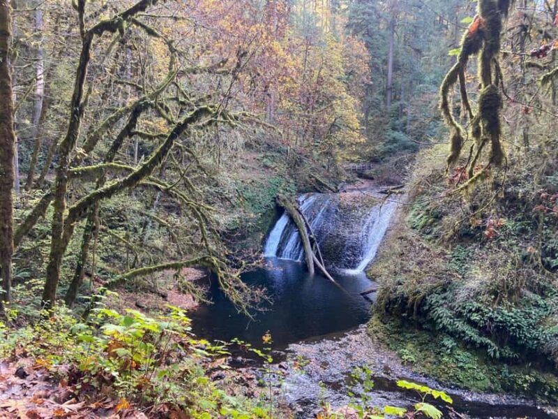Portland: Silver Falls State Park Waterfall Hike - Final Thoughts