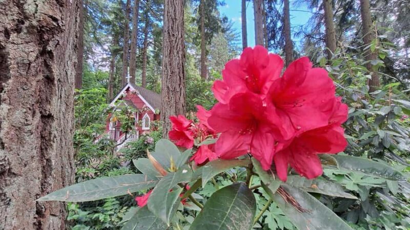 Portland: The Grotto Trip - The Value of Visiting The Grotto