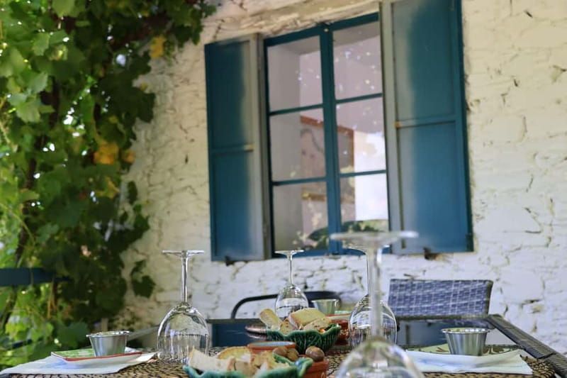 Porto: Douro Valley Wine Tour with Tastings, Lunch & Cruise - Pinhão and the 1-Hour Boat Cruise: Seeing Douro From the Water