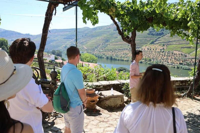 Porto: Douro Valley Wine Tour with Tastings, Lunch & Cruise - N222: One of the World’s Scenic Roads (and It Lives Up to It)