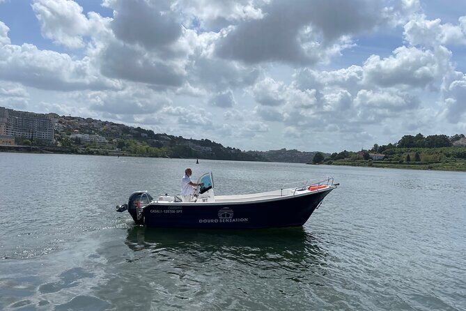 Porto: 2h Private Tour (1 to 6 people) on the Douro River with a local - Who Is This Tour Best For?