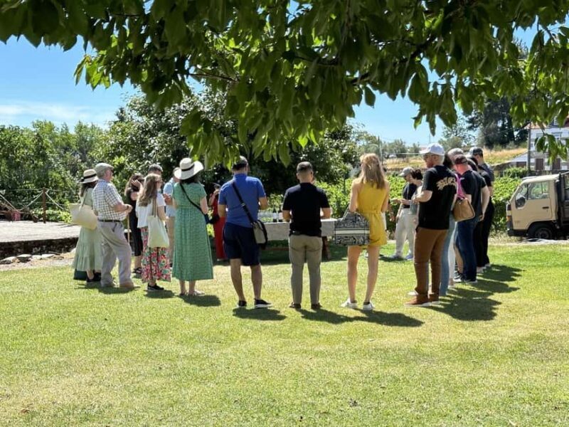 Porto: 3 Wine Regions & Farm Lunch with Views Small-Group - What Makes This Tour Special?