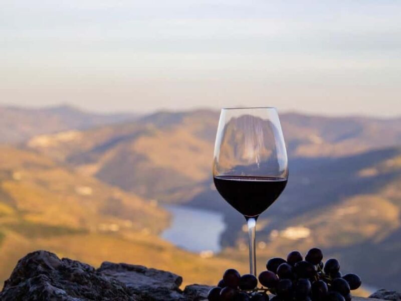 Porto: 3 Wine Regions & Farm Lunch with Views Small-Group - Final Thoughts