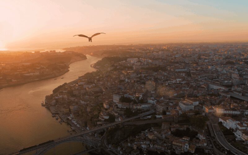 Porto: 5D Flight over de City for all family. - Final Thoughts