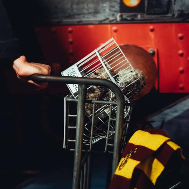 Porto: ArrábidaShopping Wizard School 9 & 3/4 Escape Room - Key Points