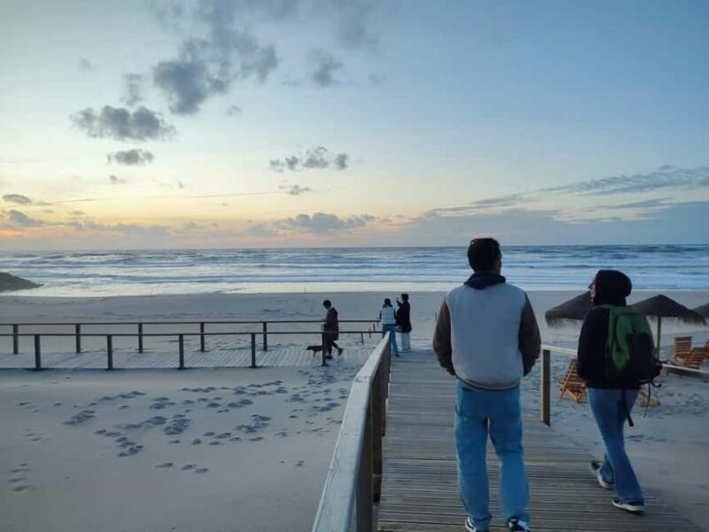 Porto: Aveiro Small-Group Half Day Tour - Porto: Aveiro Small-Group Half Day Tour — A Detailed Look