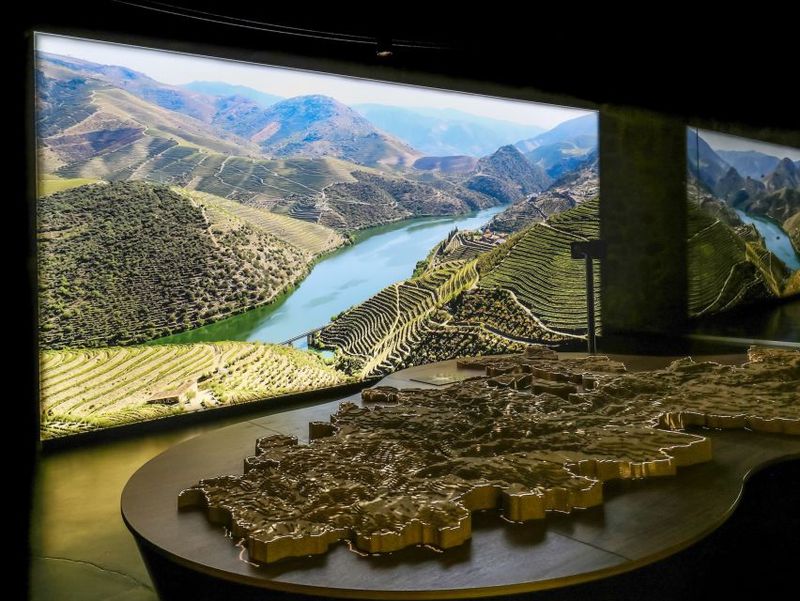 Porto: Cálem Cellar Tour, Fado Show & Wine Tasting - Your Port Tasting: White Port Plus a Tawny or Reserve Style