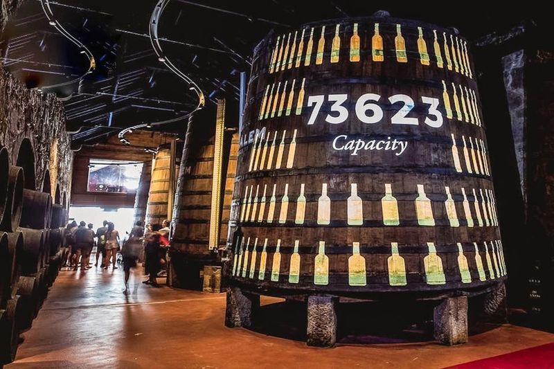 Porto: Cálem Cellar Tour, Fado Show & Wine Tasting - Price and Value: Is This Worth $33?