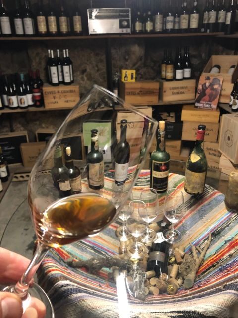 Porto: Cheese and Port Wine Tasting in a Unique Place - Key Points