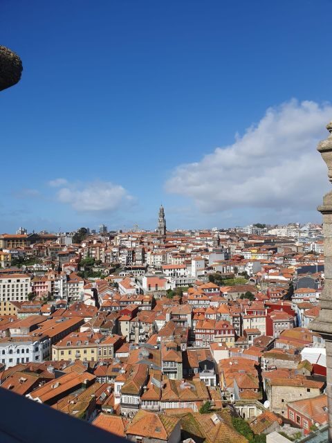 Porto city half-day Private Tour - Key Points