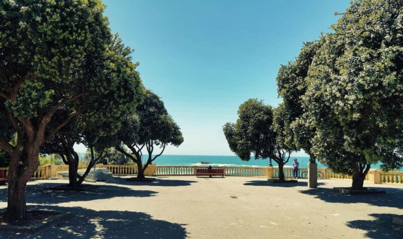 Porto City Tour, Wine Tasting & Douro River 6 Bridges Cruise - What We Think About the Tour