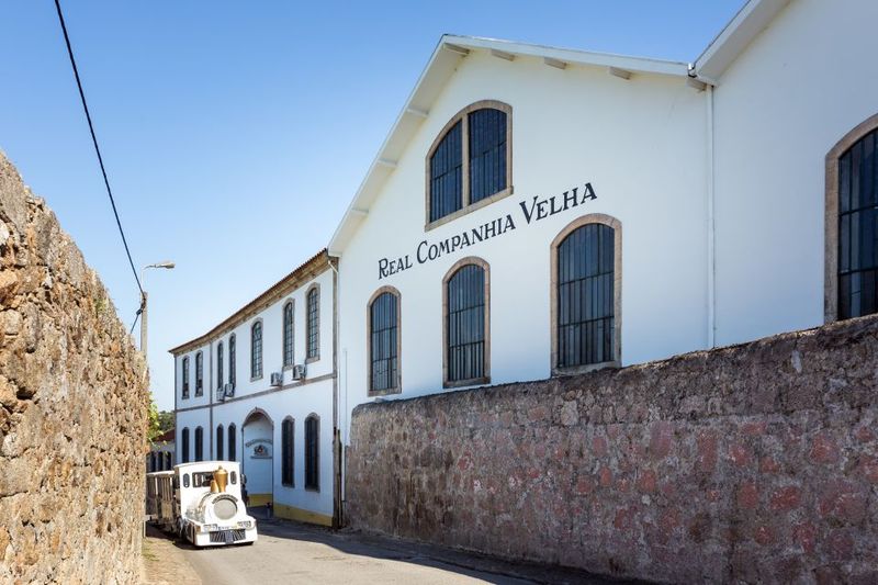 Porto: City Train Tour, River Cruise & Wine Cellar - Real Companhia Velha: Portugal’s oldest wine cellar visit