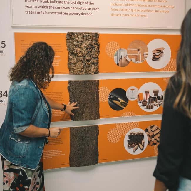 Porto: Cork Museum: Immersive and Perfect for Families - A Detailed Look at the Porto Cork Museum Experience