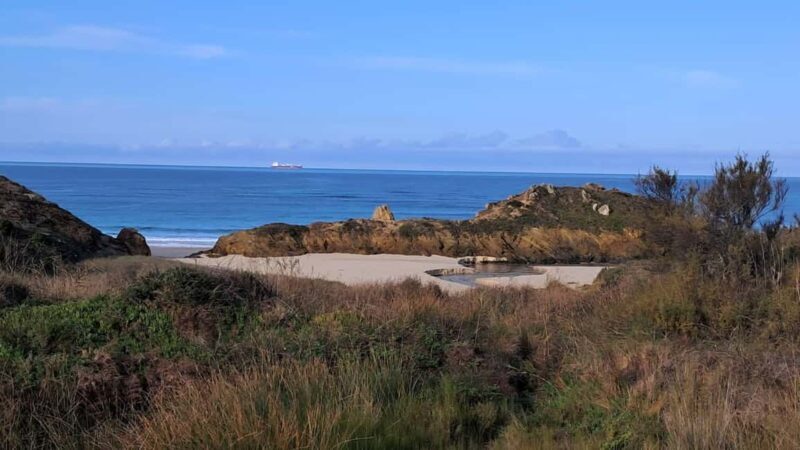 Porto Covo: Guided Walks and a Visit to the Waste Farm Center - Who This Tour Is Best For