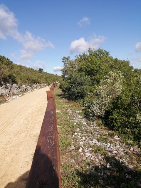 Porto de Mós: "Ecopista" E-Bike Tour - Key Points