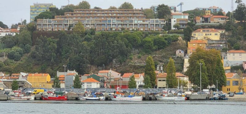 Porto: Discover the Douro River by Sailing Boat - Key Points
