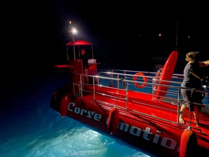 Porto : Discovery of the marine fauna and flora/Bay of Porto - Who Should Consider This Tour?