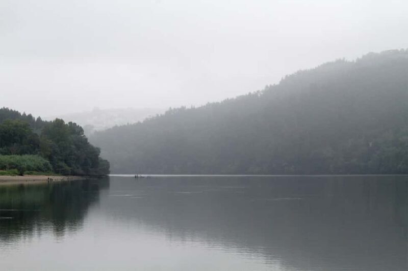 Porto: Douro Nature Boat Tour - What to Expect on the Douro Nature Boat Tour