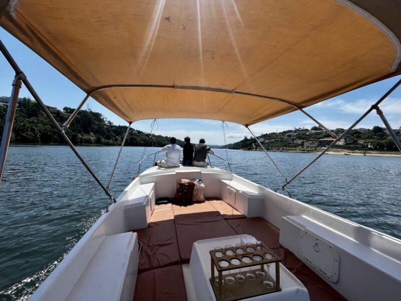 Porto: Douro River Boat Cruise with Port Wine Tasting - Who Will Love This Tour?