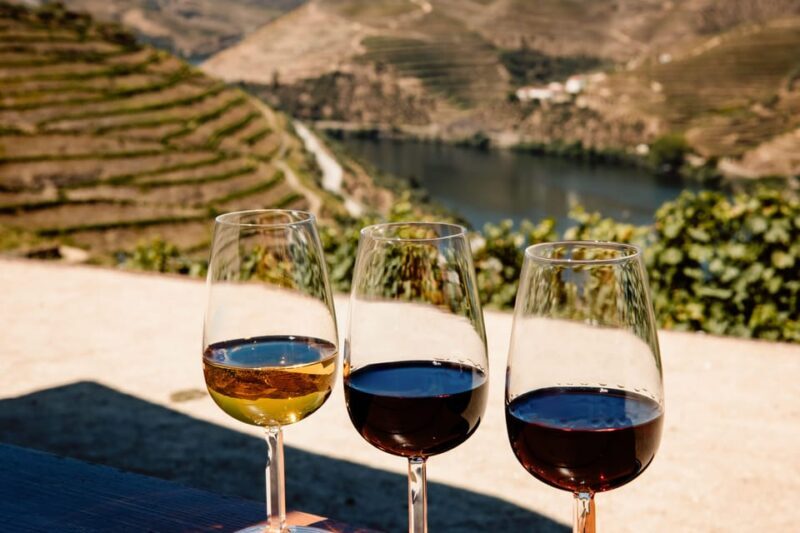 Porto: Douro Valley & Amarante Wine, Food & River Tour - A Deep Dive into the Experience