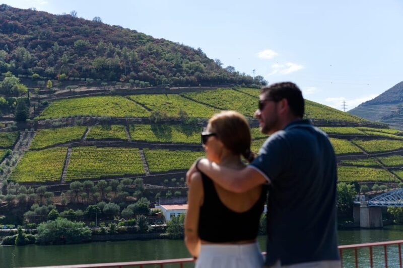Porto: Douro Valley & Amarante Wine, Food & River Tour - Practical Tips & Considerations