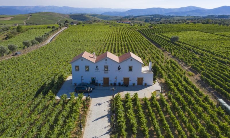 Porto: Douro Valley Day Trip with Lunch and Favaios Village - Key Points