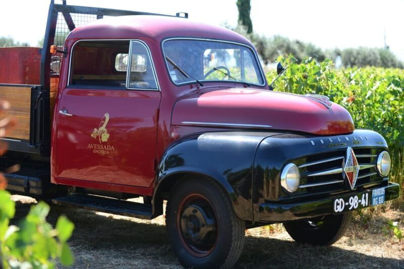 Porto: Douro Valley Day Trip with Lunch and Favaios Village - A Closer Look at the Itinerary