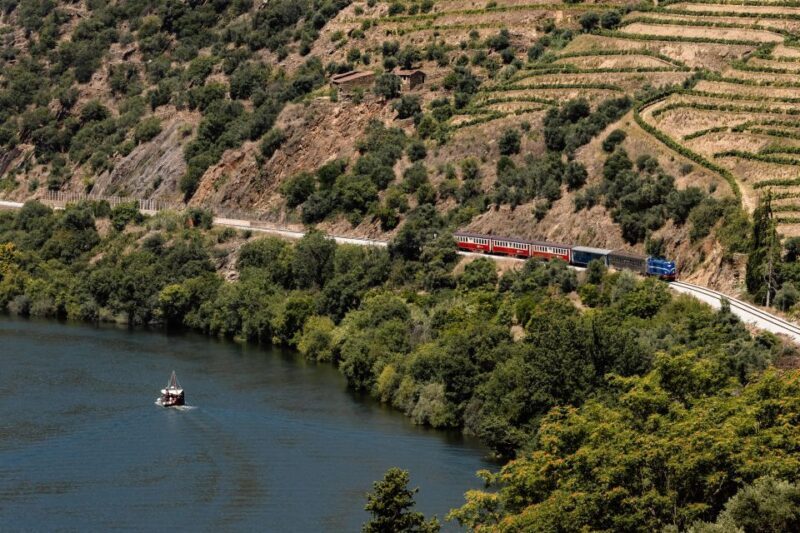 Porto: Douro Valley Full-Day Boat, Train, and Lunch Tour - Who Will Love This Tour?