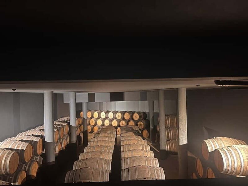 Porto: Douro Valley Half-Day Wine and Food Tour - What Makes This Tour Stand Out