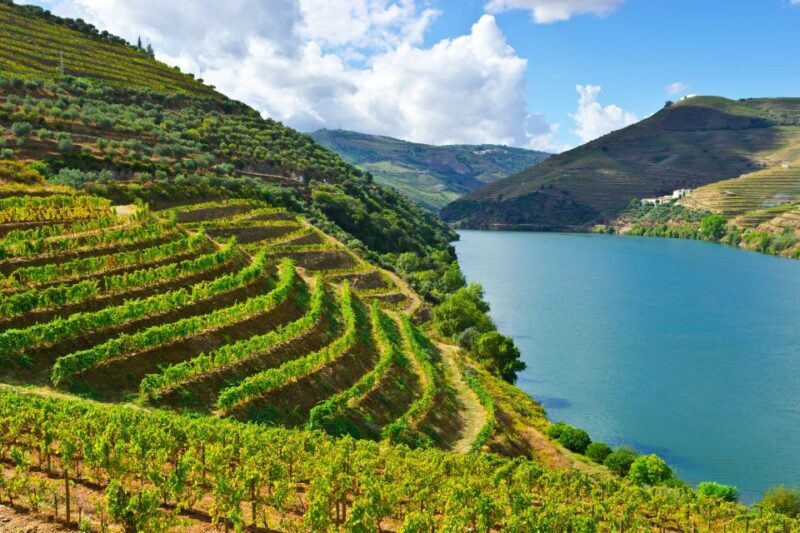 Porto: Douro Valley History & Wine Tour with Cruise & Lunch - A Deep Dive Into the Experience