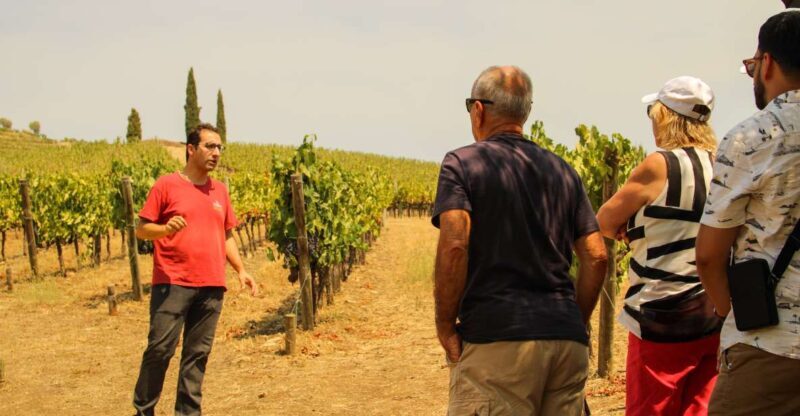 Porto: Douro Valley History & Wine Tour with Cruise & Lunch - FAQ