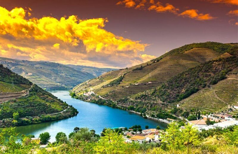 Porto: Douro Valley Private Full-Day Tour - An Honest Look at the Douro Valley Private Tour