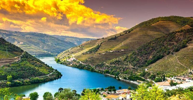 Porto: Douro Valley Private Full-Day Tour - Who Should Consider This Tour?