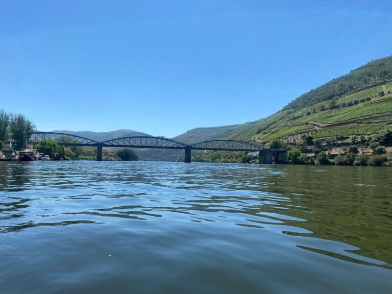Porto: Douro Valley Private Tour 2 Vineyards & River Cruise - An In-Depth Look at What You Can Expect