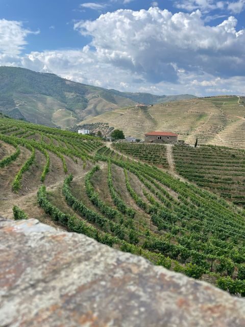 Porto: Douro Valley Private Tour 2 Vineyards & River Cruise - Who Will Love This Tour?
