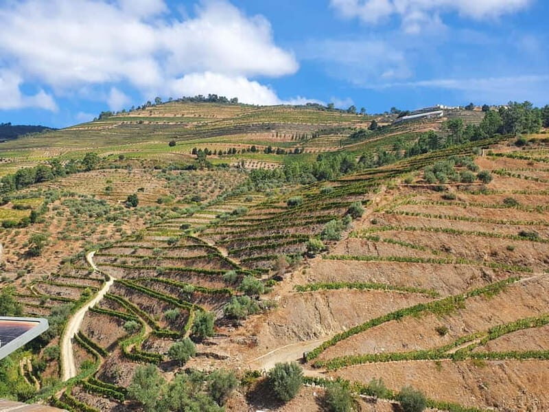 Porto: Douro Valley Private Tour with Winery Visit & Lunch - Discover the Douro Valley on a Private Day Trip from Porto