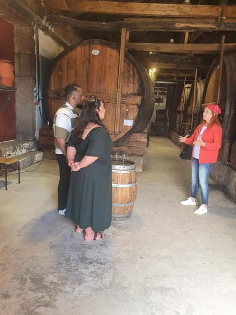 Porto: Douro Valley Private Tour with Winery Visit & Lunch - Key Points