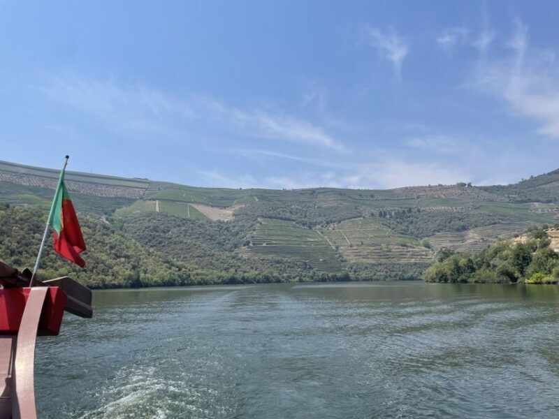 Porto: Douro Valley Tour w/ 3 Tastings, Lunch, & Opt. Cruise - The Experience in Detail
