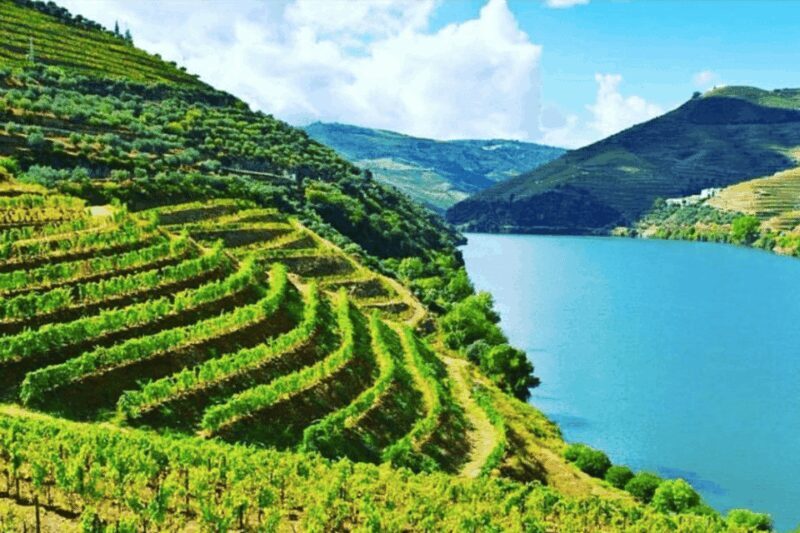 Porto: Douro Valley Tour w/ 3 Tastings, Lunch, & Opt. Cruise - Is This Tour Right for You?