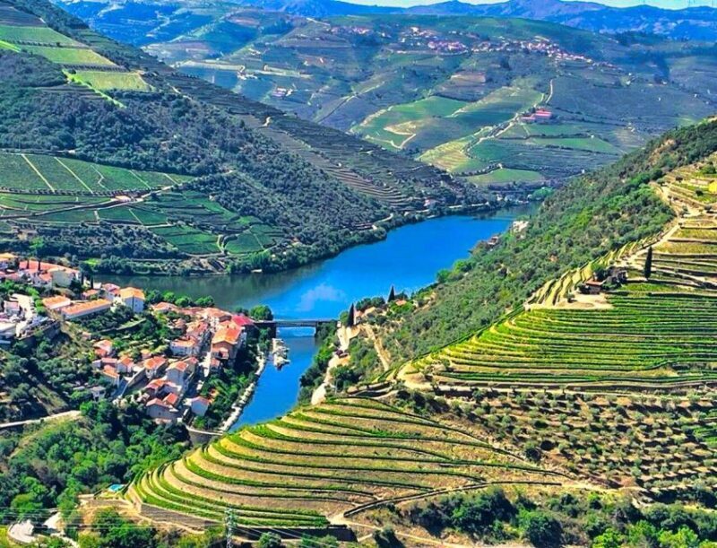 Porto: Douro Valley Tour with 2 Wineries, Lunch and Cruise - Final Thoughts