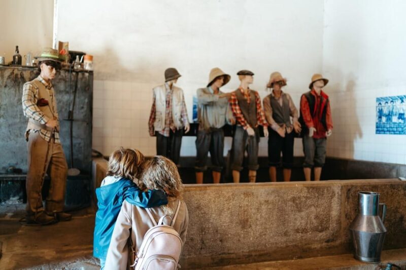 Porto: Douro Valley Tour with 2 Wineries, Lunch and Cruise - Frequently Asked Questions