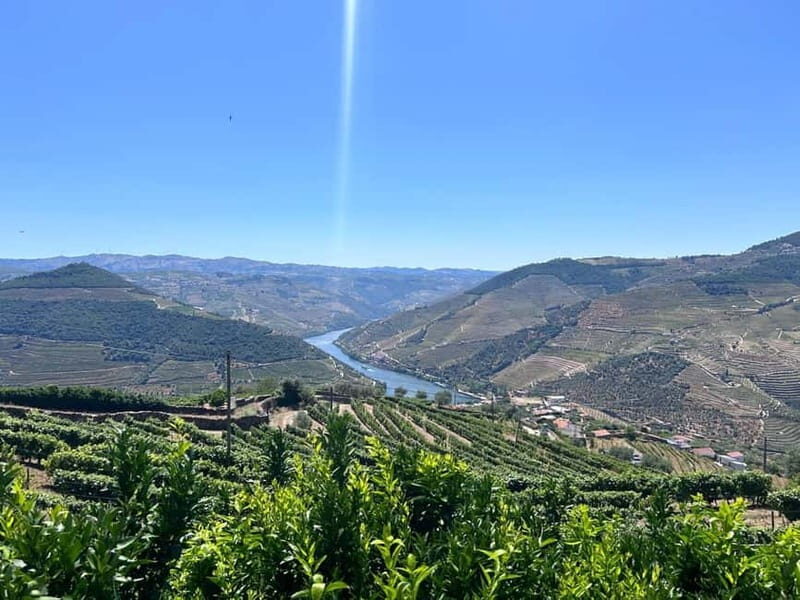 Porto: Douro Valley Tour with 3 Wineries and Lunch - FAQs