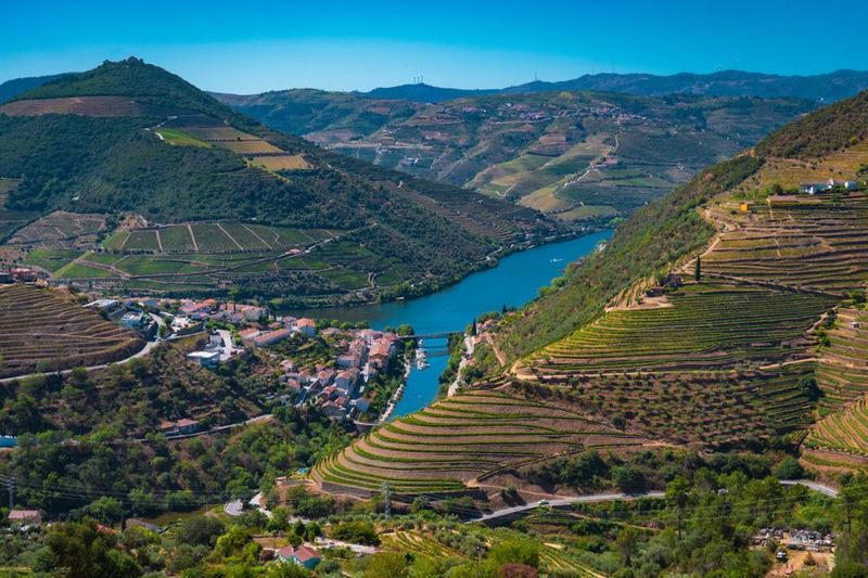 Porto: Douro Valley Tour with Lunch, Boat Cruise & Tastings - Traditional Cellar or Wine Shop Visit: Tastings Plus Olive Oil