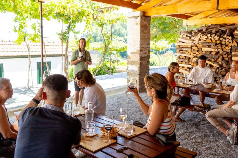 Porto: Douro Valley Tour with Lunch, Boat Cruise & Tastings - Lunch in a Wine Cellar: Douro Pairing and Dietary Options