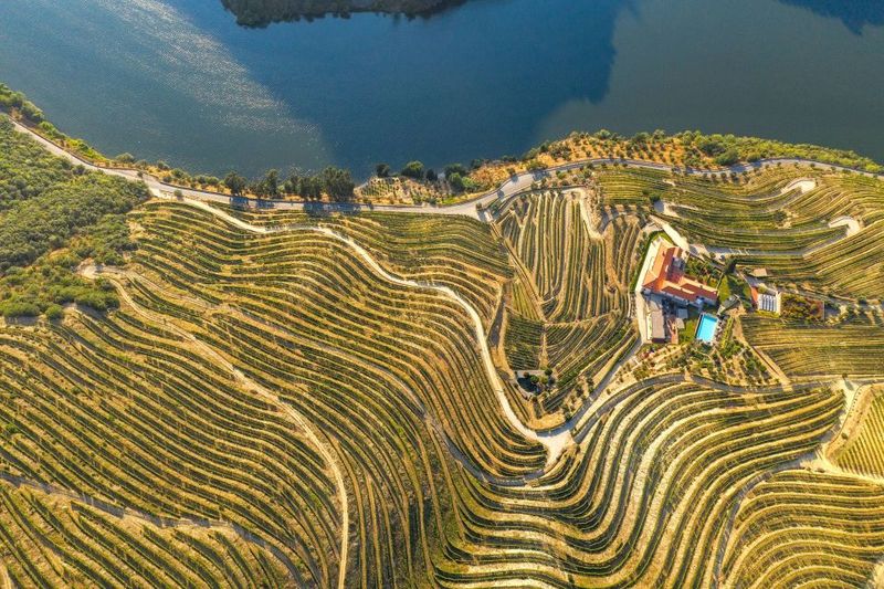 Porto: Douro Valley Tour with Lunch, Boat Cruise & Tastings - Weather Plan: When the Boat Doesn’t Happen