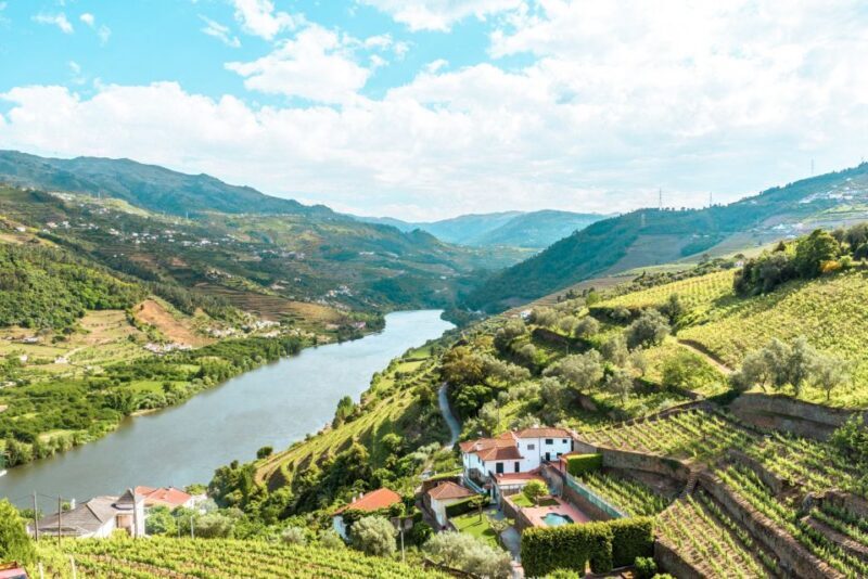 Porto: Douro Valley Tour with Wine Tasting, Cruise and Lunch - Key Points