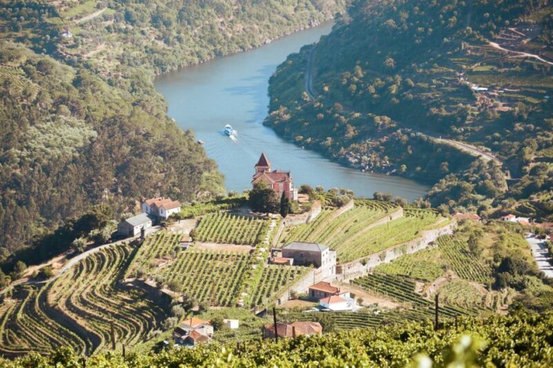 Porto: Douro Valley Tour with Wine Tasting, Cruise and Lunch - Practical Details and Tips